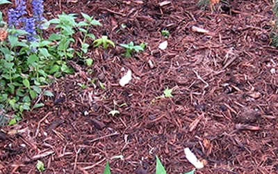 Mulch Delivery Madisonville TN