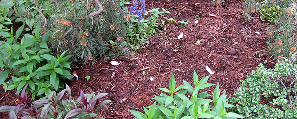 Mulching Services