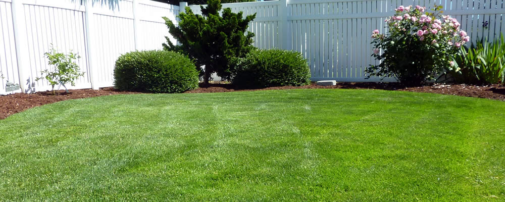 Water Drainage Services