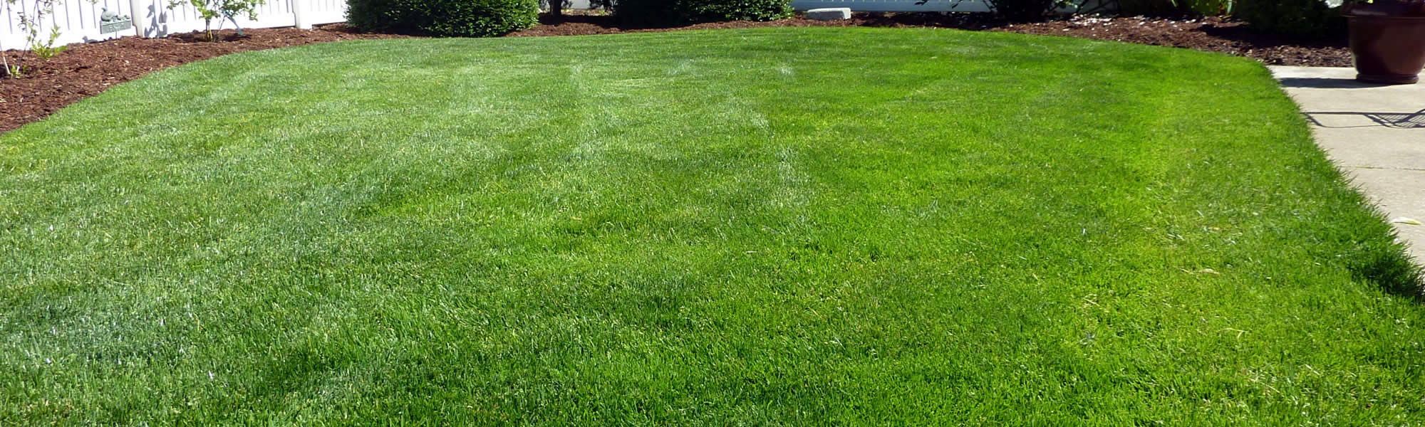 Water Drainage Services